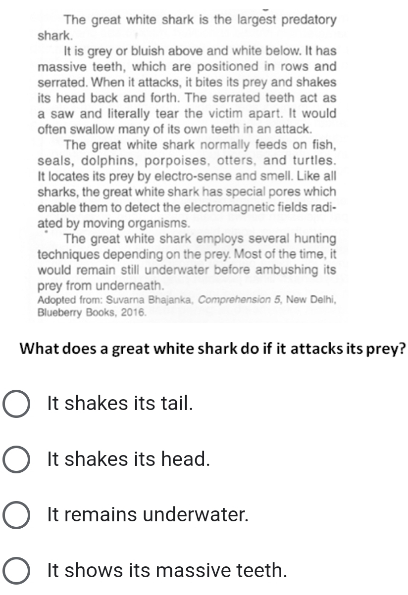 The great white shark is the largest predatory
shark.
It is grey or bluish above and white below. It has
massive teeth, which are positioned in rows and
serrated. When it attacks, it bites its prey and shakes
its head back and forth. The serrated teeth act as
a saw and literally tear the victim apart. It would
often swallow many of its own teeth in an attack.
The great white shark normally feeds on fish,
seals, dolphins, porpoises, otters, and turtles.
It locates its prey by electro-sense and smell. Like all
sharks, the great white shark has special pores which
enable them to detect the electromagnetic fields radi-
ated by moving organisms.
The great white shark employs several hunting
techniques depending on the prey. Most of the time, it
would remain still underwater before ambushing its
prey from underneath.
Adopted from: Suvarna Bhajanka, Comprehension 5, New Delhi,
Blueberry Books, 2016.
What does a great white shark do if it attacks its prey?
It shakes its tail.
It shakes its head.
It remains underwater.
It shows its massive teeth.