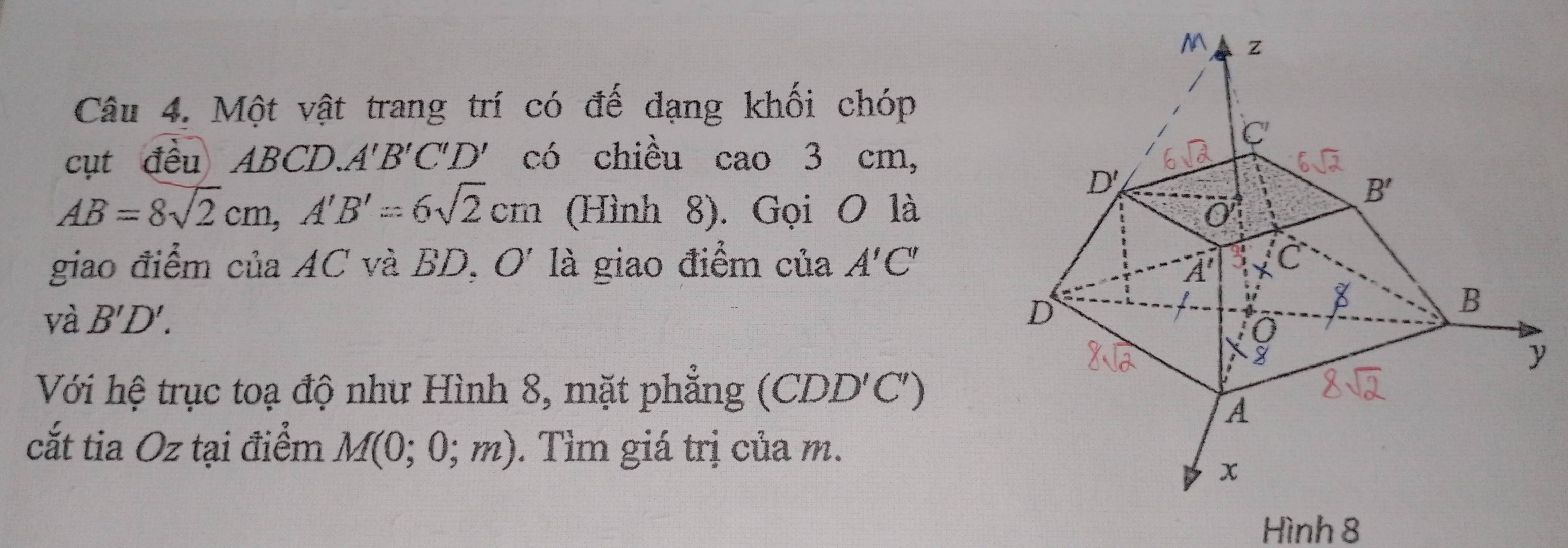 Một vật trang trí có đế dạng khối chóp
cụt đều ABCD. A'B'C'D' có chiều cao 3 cm,
AB=8sqrt(2)cm,A'B'=6sqrt(2)cm (Hình 8). Gọi O là
giao điểm của AC và BD, O' là giao điểm của A'C'
và B'D'.
Với hệ trục toạ độ như Hình 8, mặt phẳng (CDD'C')
cắt tia Oz tại điểm M(0;0;m). Tìm giá trị của m.
Hình 8