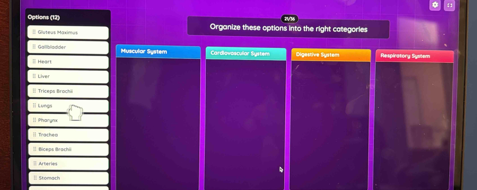 【
Options (12) 21/36
Organize these options into the right categories
:: Gluteus Maximus
:: Gallbladder Muscular System Cardiovascular System Digestive System Respiratory System
 Heart
:: Liver
:: Triceps Brachii
:: Lungs
:: Pharynx
;: Trachea
:: Biceps Brachii
:: Arteries
 Stomach