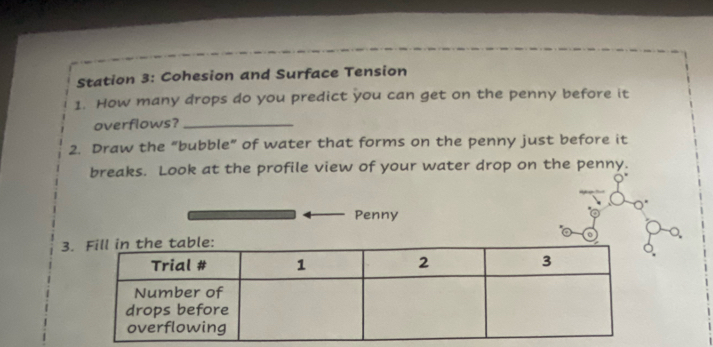 Station 3: Cohesion and Surface Tension 
1. How many drops do you predict you can get on the penny before it 
overflows?_ 
2. Draw the “bubble” of water that forms on the penny just before it 
breaks. Look at the profile view of your water drop on the penny. 
Penny 
3