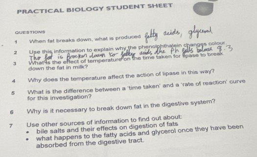 PRACTICAL BIOLOGY STUDENT SHEET 
QUESTIONS 
1 When fat breaks down, what is produced 
2 Use this information to explain why the phenolphthalein changes colour 
3 What4s the effect of temperature on the time taken for lipase to break 
down the fat in milk? 
4 Why does the temperature affect the action of lipase in this way? 
5 What is the difference between a ‘time taken’ and a 'rate of reaction' curve 
for this investigation? 
6 Why is it necessary to break down fat in the digestive system? 
7 Use other sources of information to find out about: 
bile salts and their effects on digestion of fats 
what happens to the fatty acids and glycerol once they have been 
absorbed from the digestive tract.