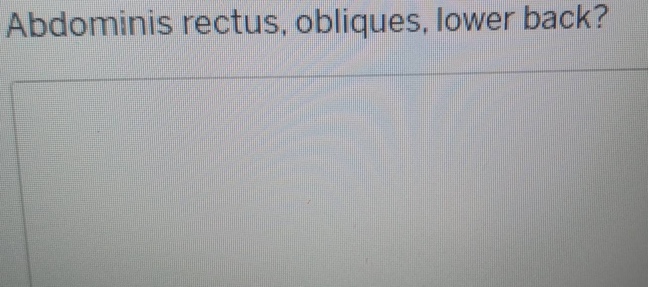 Abdominis rectus, obliques, lower back?