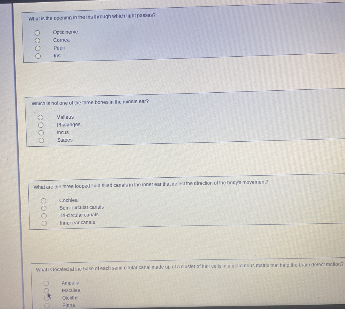 What is the opening in the iris through which light passes?
Optic nerve
Cornea
Pupil
Iris
Which is not one of the three bones in the middle ear?
Malleus
Phalanges
Incus
Stapes
What are the three looped fluid-filled canals in the inner ear that detect the direction of the body's movement?
Cochlea
Semi-circular canals
Tri-circular canals
Inner ear canals
What is located at the base of each semi-cirular canal made up of a cluster of hair cells in a gelatinous matrix that help the brain detect motion?
Ampulla
Maculea
Otoliths
Pinna