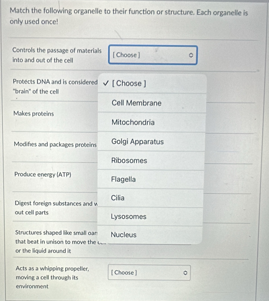 Match the following organelle to their function or structure. Each organelle is
only used once!
Controls the passage of materials [ Choose ]
C
into and out of the cell
Protects DNA and is considered [ Choose ]
''brain' of the cell
Cell Membrane
Makes proteins
Mitochondria
Modifies and packages proteins Golgi Apparatus
Ribosomes
Produce energy (ATP)
Flagella
Cilia
Digest foreign substances and w
out cell parts
Lysosomes
Structures shaped like small oar: Nucleus
that beat in unison to move the co..
or the liquid around it
Acts as a whipping propeller, [ Choose ]
moving a cell through its
environment
