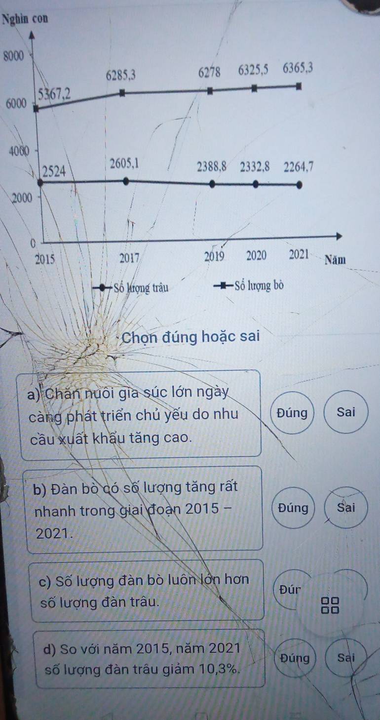 Nghin con
8000
6000
40
2 
* Chọn đúng hoặc sai 
a) Chăn nuôi gia súc lớn ngày 
càng phát triển chủ yếu do như Đúng Sai 
cầu xuất khẩu tăng cao. 
b) Đàn bò có số lượng tăng rất 
nhanh trong giai đoạn 2015 - Đúng Sai 
2021. 
c) Số lượng đàn bò luôn lớn hơn Đúr 
số lượng đàn trâu. 
d) So với năm 2015, năm 2021 Đúng Sai 
số lượng đàn trâu giảm 10, 3%.