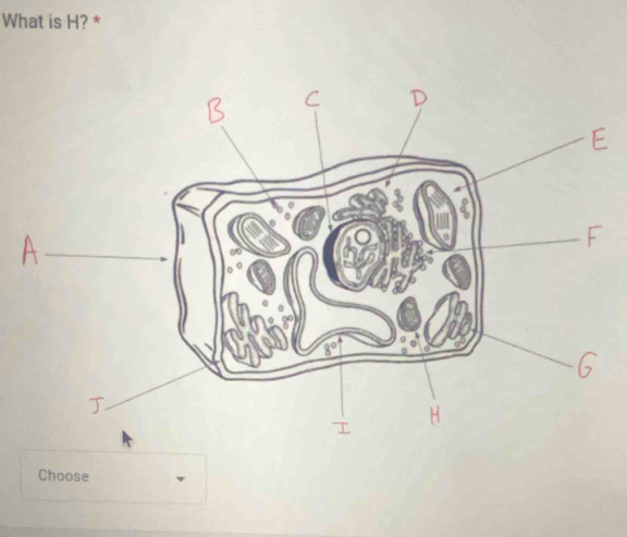 What is H? * 
Choose
