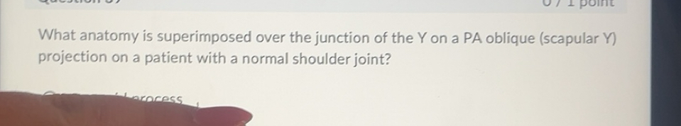 Solved: point What anatomy is superimposed over the junction of the Y ...