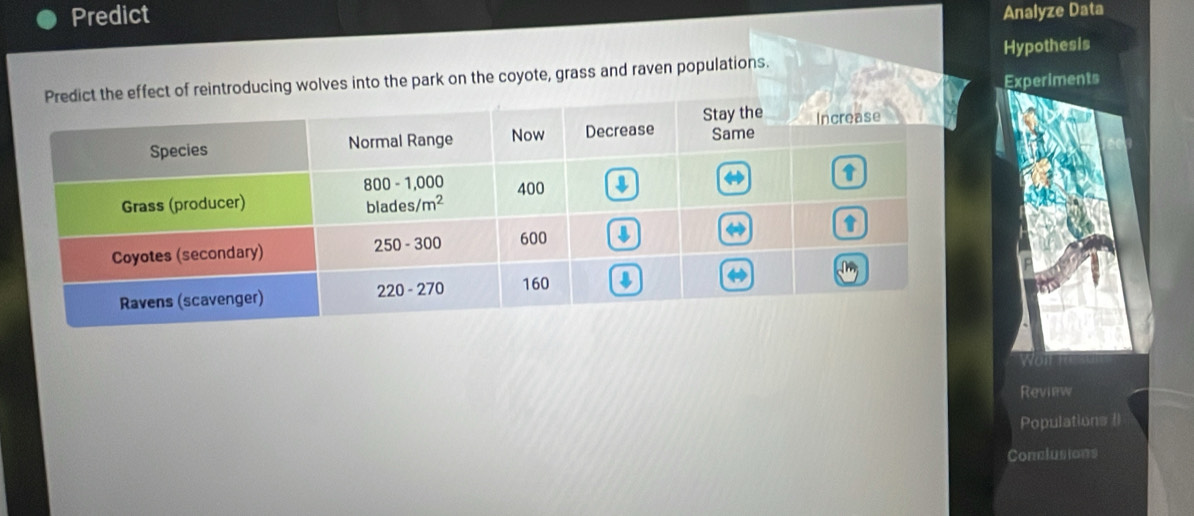 Predict Analyze Data
f reintroducing wolves into the park on the coyote, grass and raven populations. Hypothesis
Experiments
Review
Populations ()
Conclusions