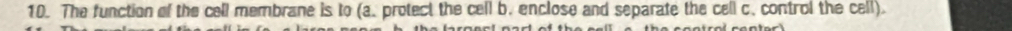 The function of the cell membrane is to (a. protect the cell b. enclose and separate the cell c. control the cell).