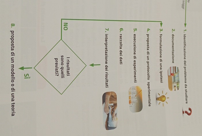 de
saggi 1. identificazione del problema da studiare ?
2. documentazione
3. formulazione di una ipotesi
4. proposta di un protocollo sperimentale
5. esecuzione di esperimenti
6. raccolta dei dati
7. interpretazione dei risultati
NO I risultati
sono quelli
previsti?
sì
8. proposta di un modello o di una teoria