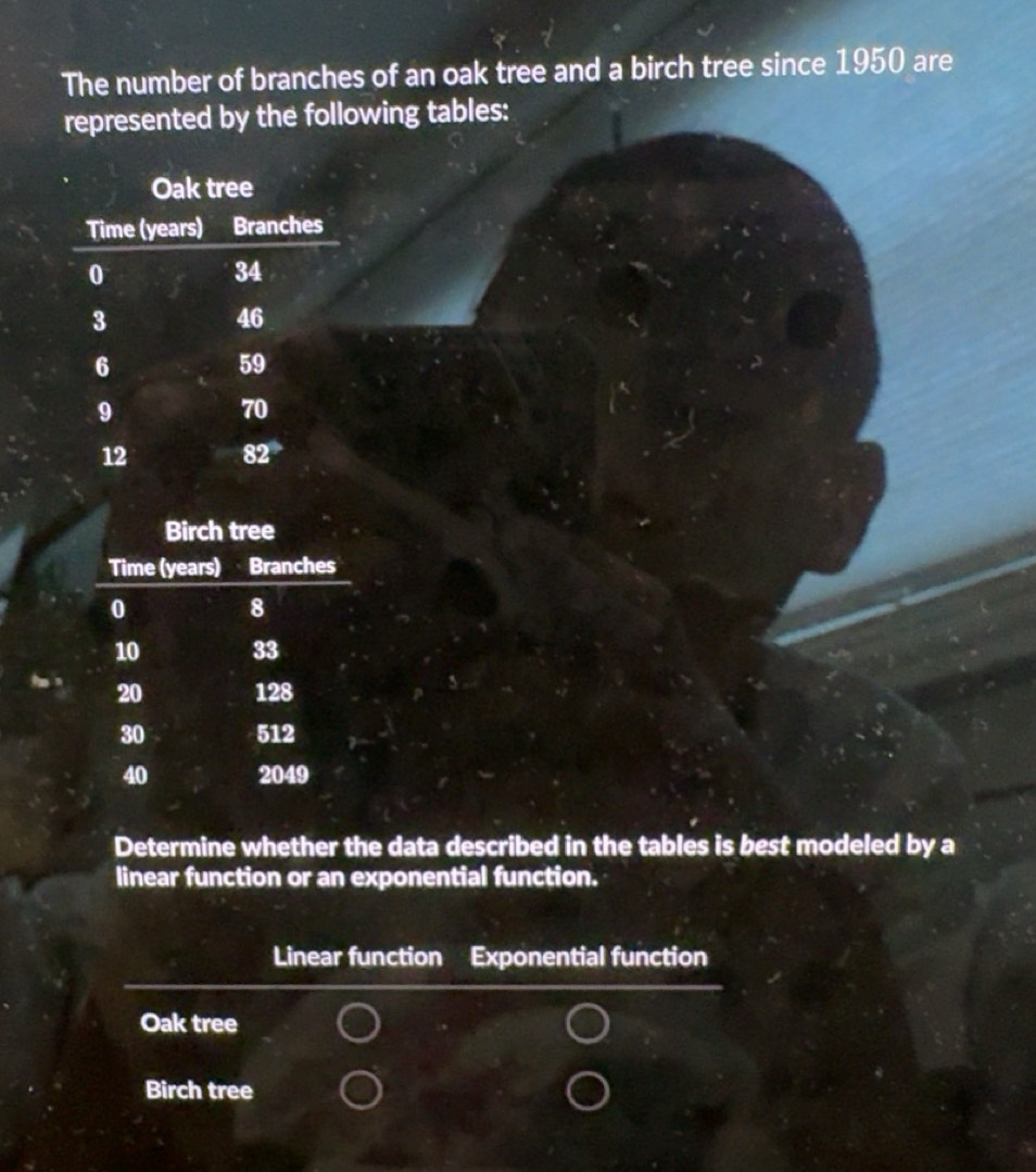 Solved: The number of branches of an oak tree and a birch tree since ...