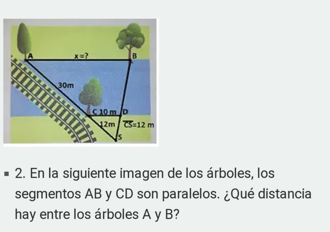 En la siguiente imagen de los árboles, los
segmentos AB y CD son paralelos. ¿Qué distancia
hay entre los árboles A y B?