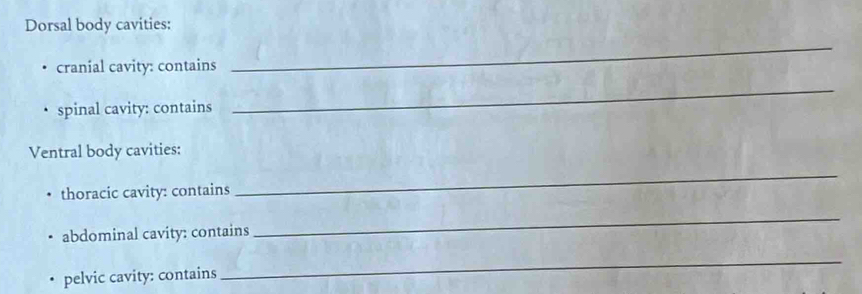 Dorsal body cavities: 
cranial cavity: contains 
_ 
spinal cavity: contains 
_ 
Ventral body cavities: 
thoracic cavity: contains 
_ 
abdominal cavity: contains 
_ 
pelvic cavity: contains 
_