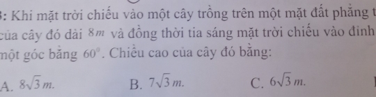 3: Khi mặt trời chiếu vào một cây trồng trên một mặt đất phẳng t
của cây đó dài 8m và đồng thời tia sáng mặt trời chiếu vào đinh
một góc băng 60°. Chiều cao của cây đó bằng:
A. 8sqrt(3)m. B. 7sqrt(3)m. C. 6sqrt(3)m.