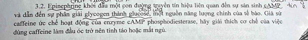 Epinephrine khởi đầu một con đường truyền tín hiệu liên quan đến sự sản sinh cA 
và dẫn đến sự phân giải glycogen thành glucose, một nguồn năng lượng chính của tế bào. Giả sử 
caffeine ức chế hoạt động của enzyme cAMP phosphodiesterase, hãy giải thích cơ chế của việc 
dùng caffeine làm đầu óc trở nên tỉnh táo hoặc mất ngủ.