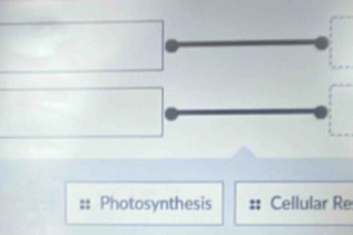 square . 
□ 
Photosynthesis Cellular Re