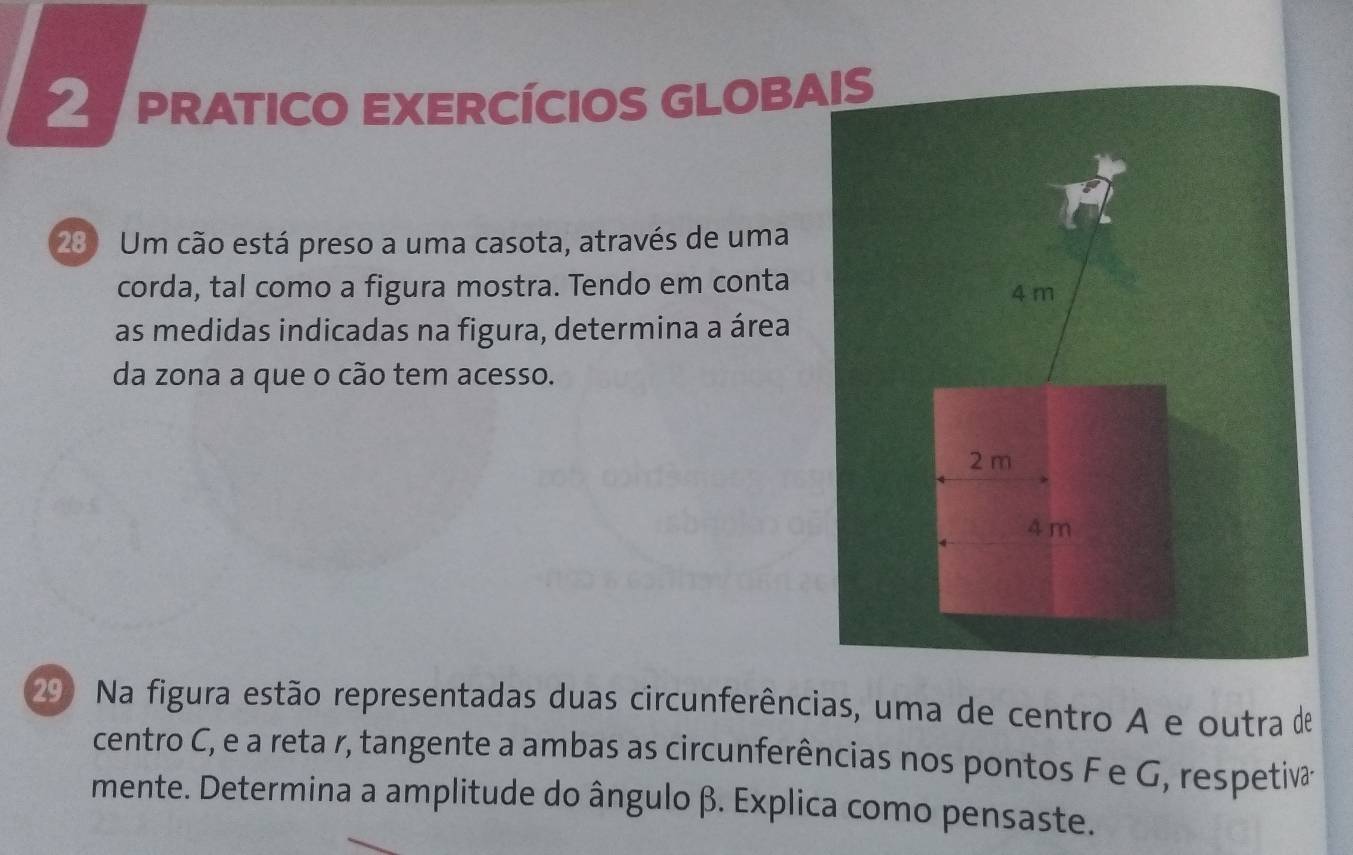 PRATICO EXERcíCIOS GLOBA 
280 Um cão está preso a uma casota, através de uma 
corda, tal como a figura mostra. Tendo em conta 
as medidas indicadas na figura, determina a área 
da zona a que o cão tem acesso. 
29) Na figura estão representadas duas circunferências, uma de centro A e outra de 
centro C, e a reta r, tangente a ambas as circunferências nos pontos F e G, respetivá 
mente. Determina a amplitude do ângulo β. Explica como pensaste.