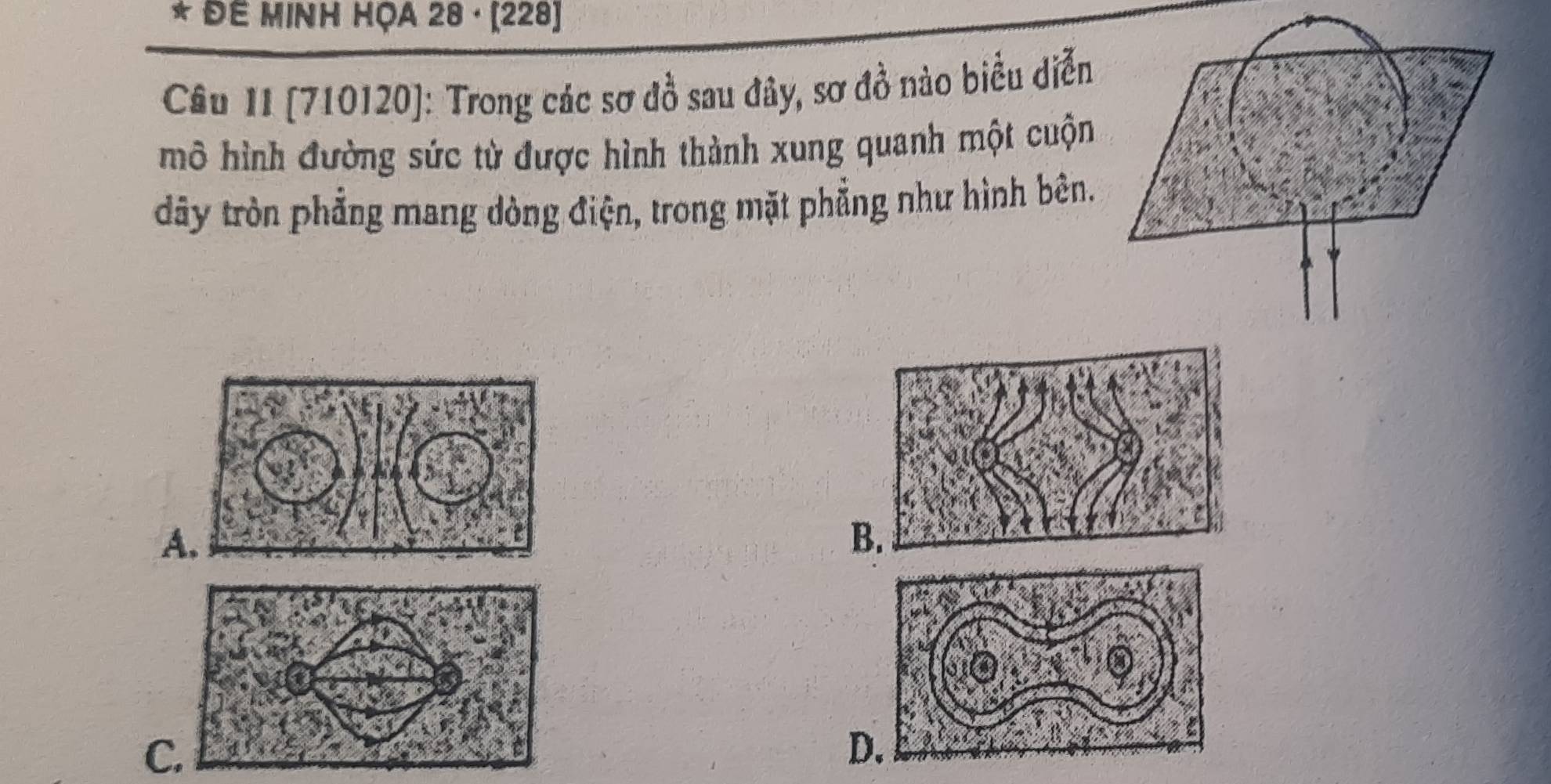 Đê MINH HỌA 28 · (228) 
Câu II (710120): Trong các sơ đồ sau đây, sơ đồ nào biểu diễn 
mô hình đường sức từ được hình thành xung quanh một cuộn 
dãy tròn phẳng mang dòng điện, trong mặt phẳng như hình bên. 
A 
B 
C 
D