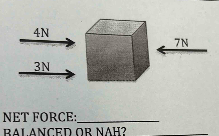 4N
7N
3N
NET FORCE:_
BALANCED OR NÄH?