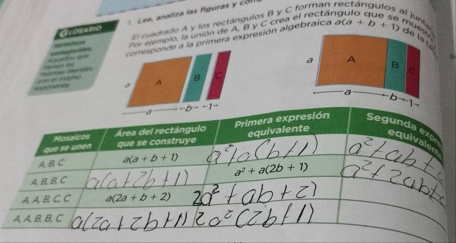 Glosapio 7. Lee, analiza las figuras y colll
l junta
El cuadrado A y los rectángulos B y C forman 
de la tạ
corresponde a la primera expresión algebraíca a(a+b+1) muestr
eeênes
Por ejemplo, la unión de A, B y C crea el rectán
==malantes
Aquetos que
a A
mísmas lerales
B C
a el mismo 
exponente
a
b
I
Mosaicos Área del rectángulo Primera expresión
Segunda exp
que se unen que se construye equivalente
equivalent
A, B, C
a(a+b+1)
A, B, B, C a^2+a(2b+1)
A, A, B, C,C a(2a+b+2)
A, A, B, B, C