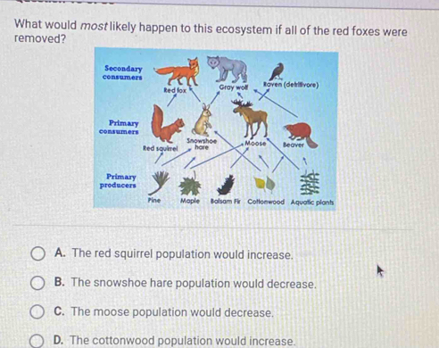 What would most likely happen to this ecosystem if all of the red foxes were
removed?
A. The red squirrel population would increase.
B. The snowshoe hare population would decrease.
C. The moose population would decrease.
D. The cottonwood population would increase.