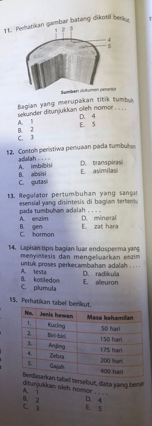 gambar batang dikotil berikut 1
Bagian yang merupakan titik tumbuh
sekunder ditunjukkan oleh nomor . . . .
D. 4
A. 1
E. 5
B. 2
C. 3
12. Contoh peristiwa penuaan pada tumbuhan
adalah . . .
A. imbibisi D. transpirasi
B. absisi E. asimilasi
C. gutasi
13. Regulator pertumbuhan yang sangat
esensial yang disintesis di bagian tertentu
pada tumbuhan adalah_
A. enzim D. mineral
B. gen E. zat hara
C. hormon
14. Lapisan tipis bagian luar endosperma yang
menyintesis dan mengeluarkan enzim
untuk proses perkecambahan adalah . . . .
A. testa D. radikula
B. kotiledon E. aleuron
C. plumula
15. Perhatikan tabel berikut
tersebut, data yang benar
ditunjukkan oleh nomor_
A. 1
B. 2 D. 4
C. 3 E. S