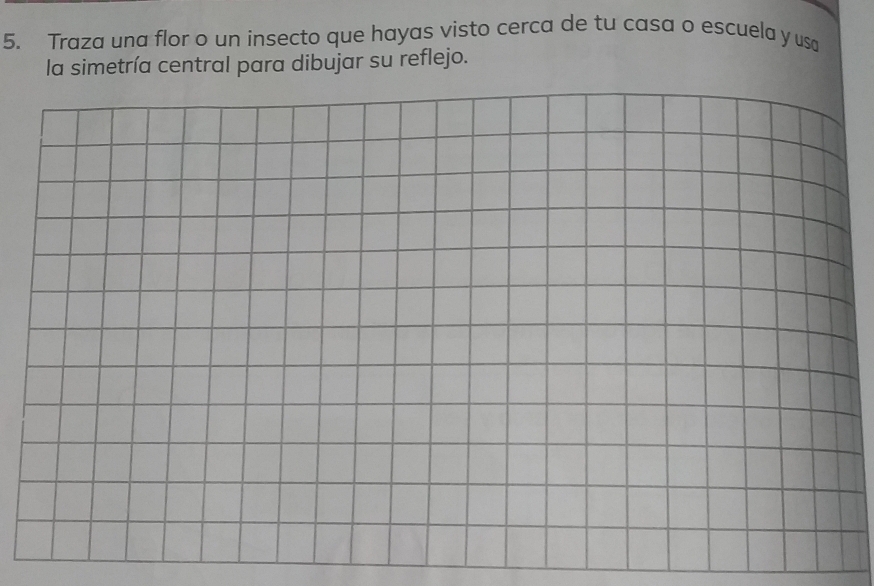 Traza una flor o un insecto que hayas visto cerca de tu casa o escuela y usa 
la simetría central para dibujar su reflejo.