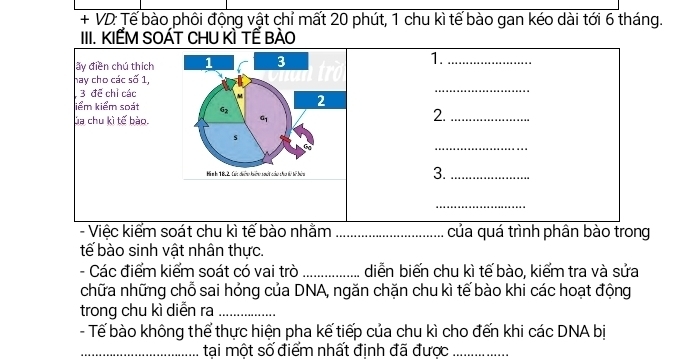 + VD: Tế bào phối động vật chỉ mất 20 phút, 1 chu kì tế bào gan kéo dài tới 6 tháng. 
III. KIẾM SOÁT CHU KÌ TẾ BẢO 
ấy điền chú thích 1 3 1._ 
hay cho các số 1, 
3 để chỉ các M 
_ 
kiểm kiểm soát 62 2 
ủa chu kì tế bào. a1 
2._ 
_ 
s 
Hìn h 18.2. Cat đhợng khế sột củu cho từ kế bàn 3._ 
_ 
- Việc kiểm soát chu kì tế bào nhằm _của quá trình phân bào trong 
tế bào sinh vật nhân thực. 
- Các điểm kiểm soát có vai trò _diễn biến chu kì tế bào, kiểm tra và sửa 
chữa những chỗ sai hỏng của DNA, ngăn chặn chu kì tế bào khi các hoạt động 
trong chu kì diễn ra_ 
- Tế bào không thể thực hiện pha kế tiếp của chu kì cho đến khi các DNA bị 
_tại một số điểm nhất định đã được_