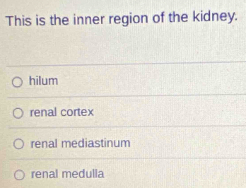 This is the inner region of the kidney.
hilum
renal cortex
renal mediastinum
renal medulla