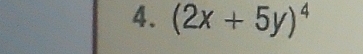 (2x+5y)^4