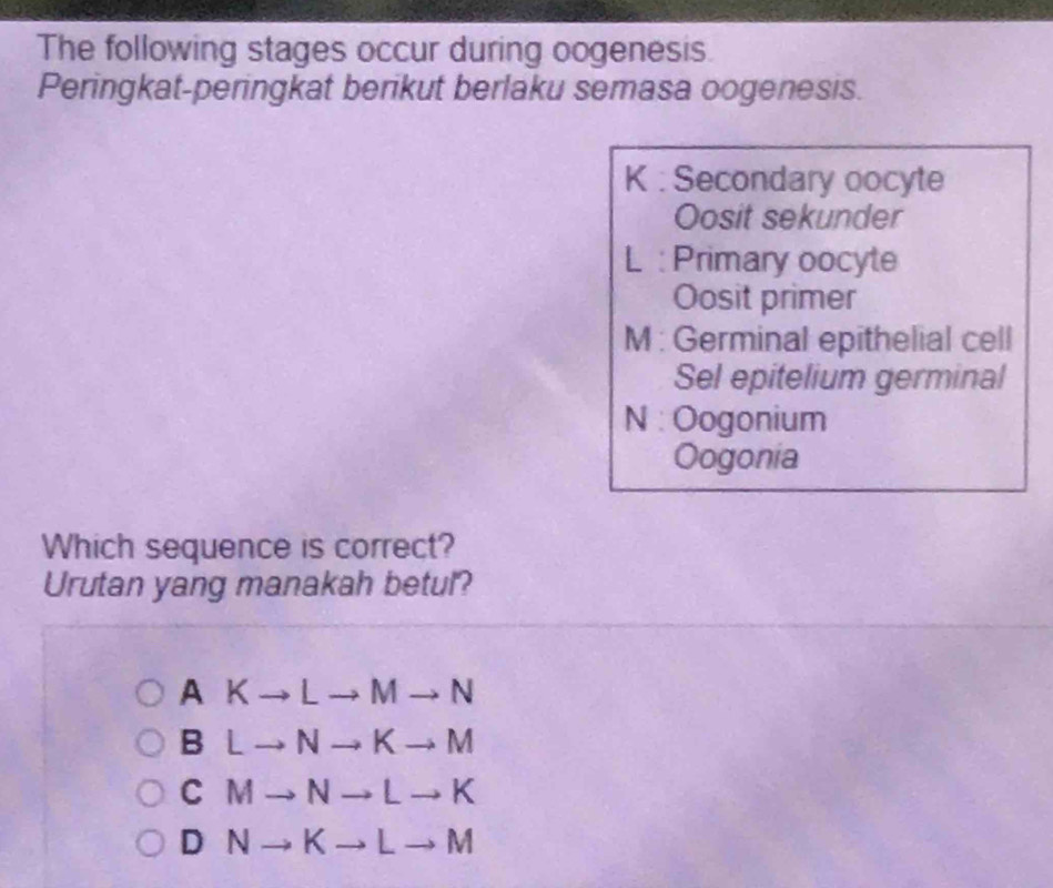 The following stages occur during oogenesis.
Peringkat-peringkat berikut berlaku semasa oogenesis.
K : Secondary oocyte
Oosit sekunder
L : Primary oocyte
Oosit primer
M : Germinal epithelial cell
Sel epitelium germinal
N : Oogonium
Oogonia
Which sequence is correct?
Urutan yang manakah betul?
AKto Lto Mto N
B Lto Nto Kto M
C Mto Nto Lto K
D Nto Kto Lto M