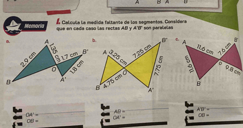 A B A B
Calcula la medida faltante de los segmentos. Considera
Memoria que en cada caso las rectas AB y A'B' son paralelas
 
 
_
A'B'=
OA'=
_
AB=
OA'=
OB=
OB=