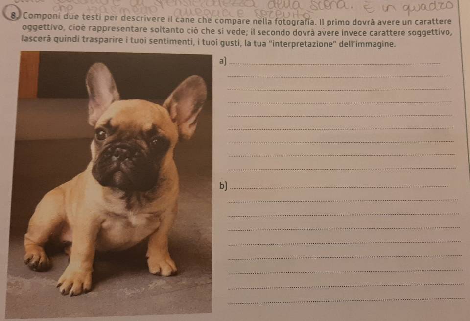 Componi due testi per descrivere il cane che compare nella fotografía. Il primo dovrà avere un carattere 
oggettivo, cioè rappresentare soltanto ciò che si vede; il secondo dovrã avere invece carattere soggettivo, 
lascerà quindi trasparire i tuoi sentimenti, i tusti, la tua “interpretazione” dell’immagine. 
_ 
_ 
_ 
_ 
_ 
_ 
_ 
_ 
_ 
_ 
_ 
_ 
_ 
_ 
_ 
_ 
_ 
_