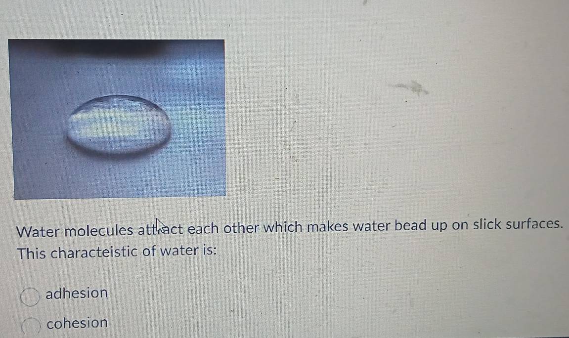 Water molecules attract each other which makes water bead up on slick surfaces.
This characteistic of water is:
adhesion
cohesion