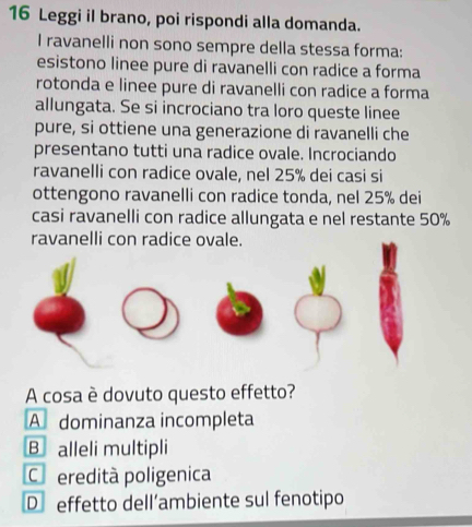 Leggi il brano, poi rispondi alla domanda.
I ravanelli non sono sempre della stessa forma:
esistono linee pure di ravanelli con radice a forma
rotonda e linee pure di ravanelli con radice a forma
allungata. Se si incrociano tra loro queste linee
pure, si ottiene una generazione di ravanelli che
presentano tutti una radice ovale. Incrociando
ravanelli con radice ovale, nel 25% dei casi si
ottengono ravanelli con radice tonda, nel 25% dei
casi ravanelli con radice allungata e nel restante 50%
ravanelli con radice ovale.
A cosa è dovuto questo effetto?
A dominanza incompleta
B alleli multipli
Co eredità poligenica
D effetto dell’ambiente sul fenotipo