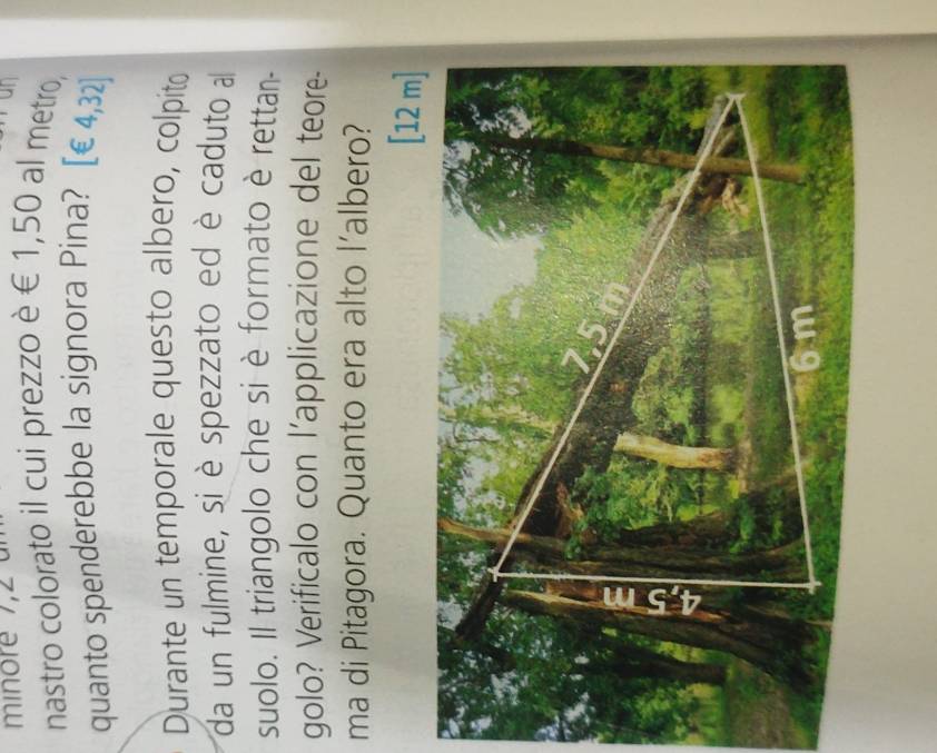 a 
nastro colorato il cui prezzo è € 1,50 al metro, 
quanto spenderebbe la signora Pina? [∈ 4,32]
Durante un temporale questo albero, colpito 
da un fulmine, si è spezzato ed è caduto a 
suolo. Il triangolo che si è formato è rettan- 
golo? Verificalo con l’applicazione del teore- 
ma di Pitagora. Quanto era alto l’albero?
[12 m ]