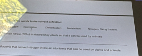 he words to the carrect definition:
Assimiaton Denilrification Metabolsm Nitrogen- Flxng Bacteria
when nitrate (NO-) is absorbed by plants so that it can be used by animals
_
Bacteria that convert nitrogen in the air into forms that can be used by plants and animals
_