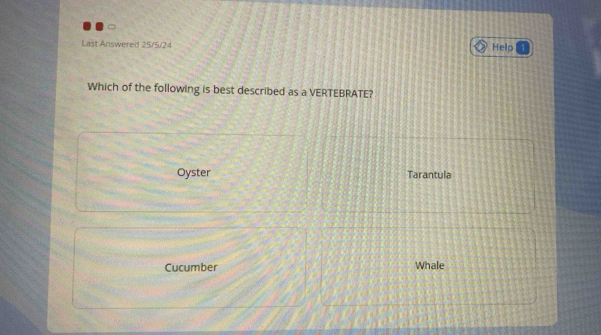 Last Answered 25/5/24
Help
Which of the following is best described as a VERTEBRATE?
Oyster Tarantula
Cucumber Whale