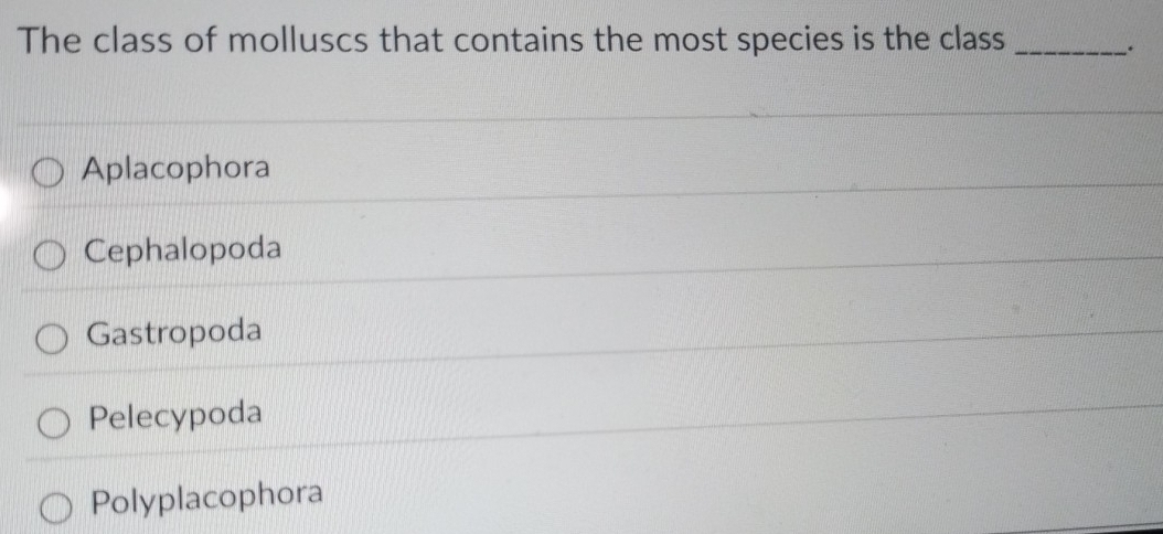 The class of molluscs that contains the most species is the class_
.
Aplacophora
Cephalopoda
Gastropoda
Pelecypoda
Polyplacophora