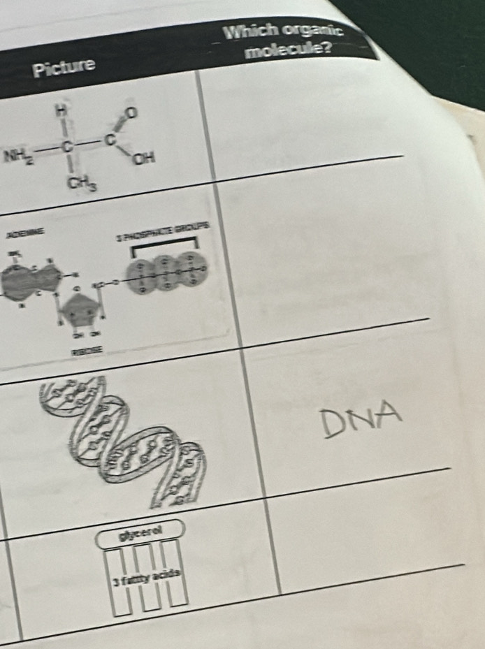 Which organic
NH_2