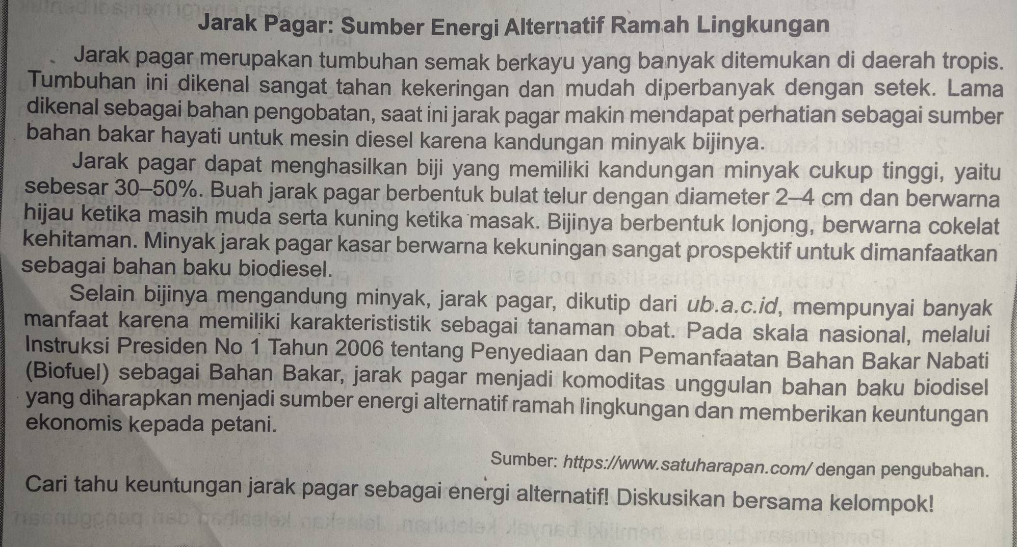 Jarak Pagar: Sumber Energi Alternatif Ramah Lingkungan
Jarak pagar merupakan tumbuhan semak berkayu yang banyak ditemukan di daerah tropis.
Tumbuhan ini dikenal sangat tahan kekeringan dan mudah diperbanyak dengan setek. Lama
dikenal sebagai bahan pengobatan, saat ini jarak pagar makin mendapat perhatian sebagai sumber
bahan bakar hayati untuk mesin diesel karena kandungan minyak bijinya.
Jarak pagar dapat menghasilkan biji yang memiliki kandungan minyak cukup tinggi, yaitu
sebesar 30-50%. Buah jarak pagar berbentuk bulat telur dengan diameter 2-4 cm dan berwarna
hijau ketika masih muda serta kuning ketika masak. Bijinya berbentuk lonjong, berwarna cokelat
kehitaman. Minyak jarak pagar kasar berwarna kekuningan sangat prospektif untuk dimanfaatkan
sebagai bahan baku biodiesel.
Selain bijinya mengandung minyak, jarak pagar, dikutip dari ub.a.c.id, mempunyai banyak
manfaat karena memiliki karakterististik sebagai tanaman obat. Pada skala nasional, melalui
Instruksi Presiden No 1 Tahun 2006 tentang Penyediaan dan Pemanfaatan Bahan Bakar Nabati
(Biofuel) sebagai Bahan Bakar, jarak pagar menjadi komoditas unggulan bahan baku biodisel
yang diharapkan menjadi sumber energi alternatif ramah lingkungan dan memberikan keuntungan
ekonomis kepada petani.
Sumber: https://www.satuharapan.com/ dengan pengubahan.
Cari tahu keuntungan jarak pagar sebagai energi alternatif! Diskusikan bersama kelompok!