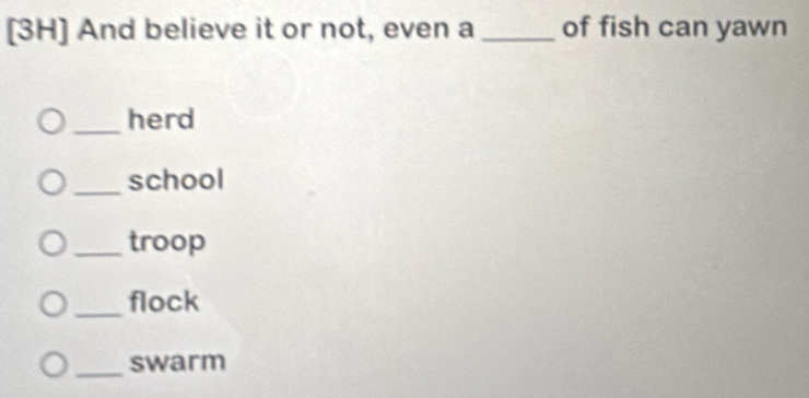 [3H] And believe it or not, even a _of fish can yawn
_herd
_school
_troop
_flock
_
swarm