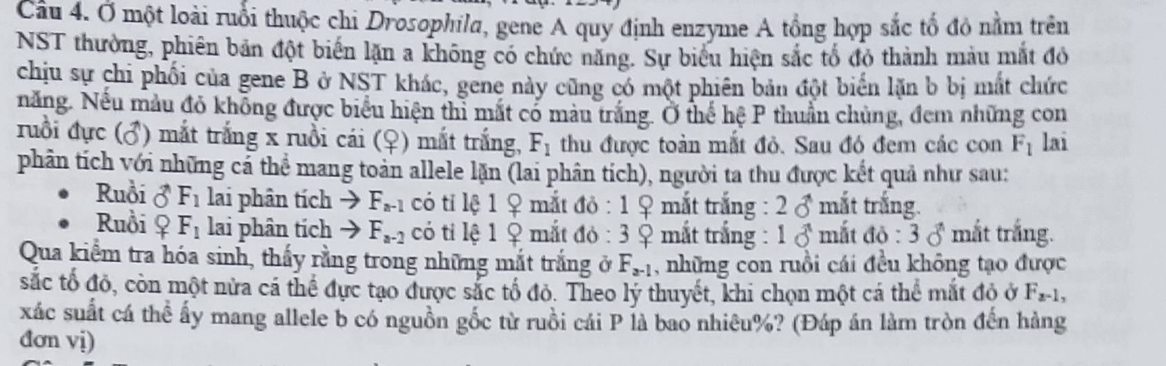 Ở một loài ruổi thuộc chi Drosophila, gene A quy định enzyme A tổng hợp sắc tổ đô nằm trên
NST thường, phiên bản đột biến lặn a không có chức năng. Sự biểu hiện sắc tổ đó thành màu mắt đó
chịu sự chi phối của gene B ở NST khác, gene này cũng có một phiên bản đột biến lặn b bị mất chức
năng. Nếu mẫu đỏ không được biểu hiện thi mắt có màu trắng. Ở thế hệ P thuần chủng, đem những con
ruồi đực (♂) mắt trắng x ruồi cái (♀) mắt trắng, F_1 thu được toàn mắt đỏ. Sau đó đem các con F_1 lai
phân tích với những cá thể mang toàn allele lặn (lai phân tích), người ta thu được kết quả như sau:
Ruồi vector O F_1 lai phân tích F_n-1 có ti lệ 1 ♀ mắt đỏ : 1 ♀ mắt trắng : 2d mắt trắng.
Ruồi ♀ F_1 lai phân tích F_n-2 có ti lệ 1 ♀ mắt đỏ : 3 ♀ mắt trắng : 1vector ^n mắt đỏ : 30° mắt trắng.
Qua kiểm tra hóa sinh, thấy rằng trong những mắt trắng ở F_a-1 , những con ruồi cái đều không tạo được
sắc tố đô, còn một nửa cá thể đực tạo được sắc tổ đỏ. Theo lý thuyết, khi chọn một cá thể mắt đỏ ở F_x-1,
xác suất cá thể ấy mang allele b có nguồn gốc từ ruồi cái P là bao nhiêu%? (Đáp án làm tròn đến hàng
đơn vị)