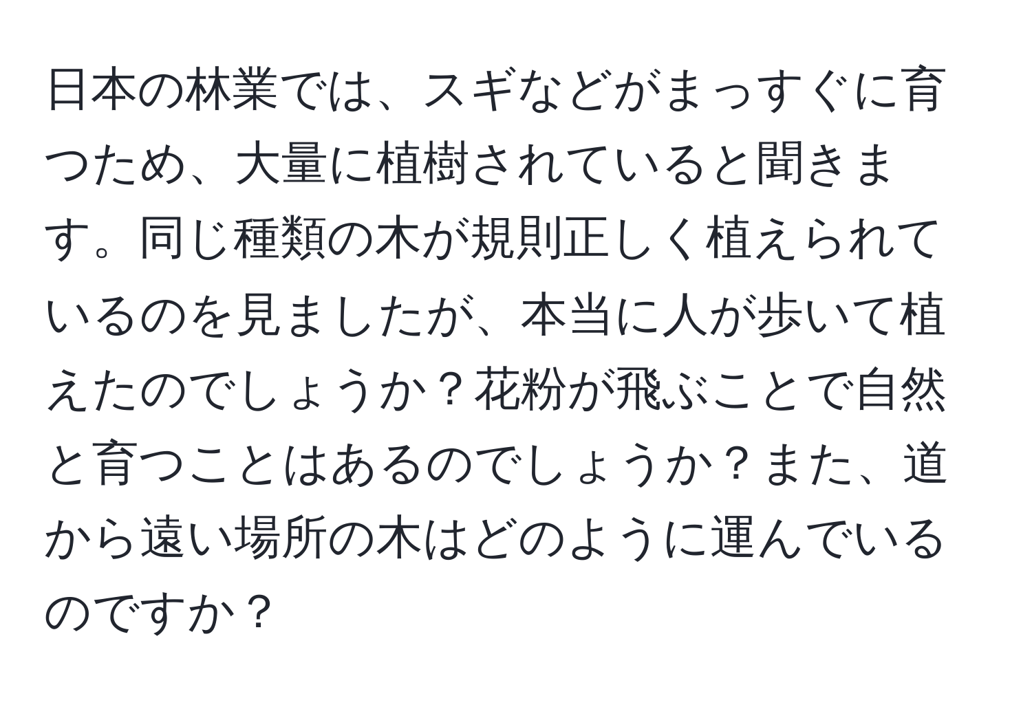 日本の林業では、スギなどがまっすぐに育つため、大量に植樹されていると聞きます。同じ種類の木が規則正しく植えられているのを見ましたが、本当に人が歩いて植えたのでしょうか？花粉が飛ぶことで自然と育つことはあるのでしょうか？また、道から遠い場所の木はどのように運んでいるのですか？