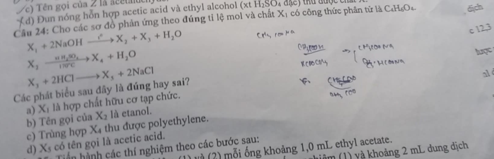 Vc) Tên gọi của 2 là acetalch
dịch
d) Đun nóng hỗn hợp acetic acid và ethyl alcohol (* tH_2SO_4 đạc) thủ được cha
Câu 24: Cho các sơ đồ phản ứng theo đúng tỉ lệ mol và chất X_1 có công thức phân tử là C₄H₆O₄.
X_1+2NaOHxrightarrow i°X_2+X_3+H_2O
c 12,3
X_2xrightarrow * (H_2SO_4)X_4+H_2O
X_3+2HClto X_5+2NaCl
ald
Các phát biểu sau đây là đúng hay sai? lược
a) X_1 là hợp chất hữu cơ tạp chức.
b) Tên gọi của X_2 là etanol.
c) Trùng hợp X_4 thu đư ợ olyethylene.
d) X_5 có tên gọi là acetic acid.
2 m i ống khoảng 1,0 mL ethyl acetate.
hh n hành các thí nghiệm theo các bước sau:
n (1) và khoảng 2 mL dung dịch