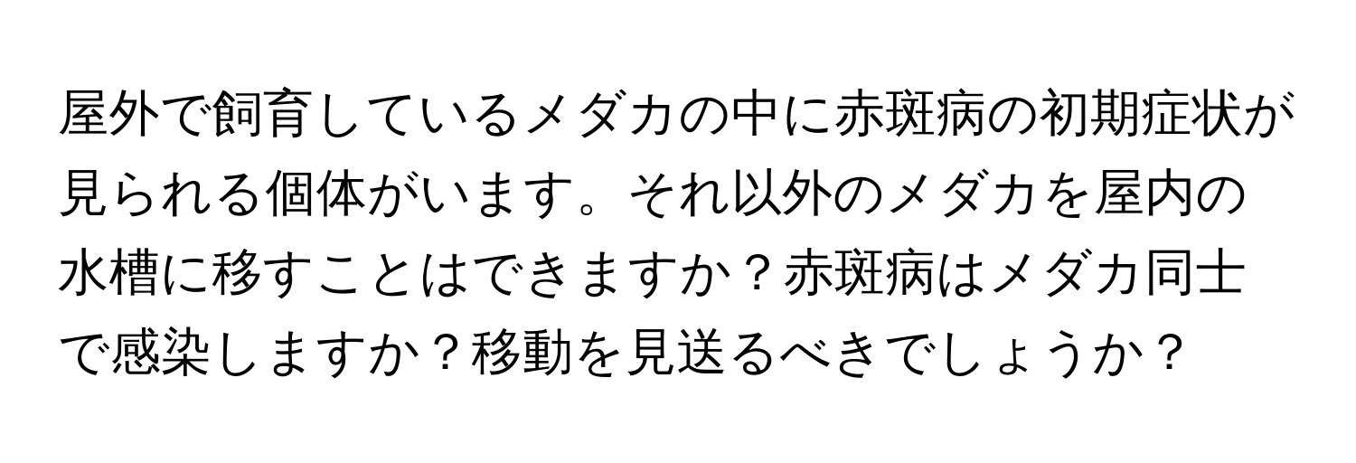 屋外で飼育しているメダカの中に赤斑病の初期症状が見られる個体がいます。それ以外のメダカを屋内の水槽に移すことはできますか？赤斑病はメダカ同士で感染しますか？移動を見送るべきでしょうか？