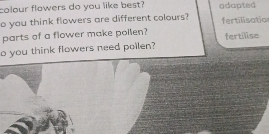 colour flowers do you like best? adapted 
o you think flowers are different colours? 
fertilisation 
parts of a flower make pollen? 
fertilise 
o you think flowers need pollen?