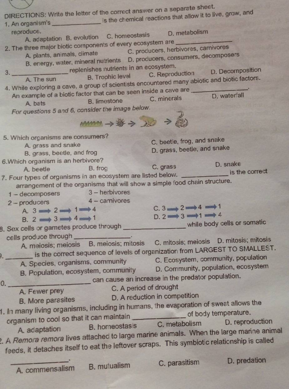 DIRECTIONS: Write the letter of the correct answer on a separate sheet.
1. An organism's _is the chemical reactions that allow it to live, grow, and
reproduce.
A. adaptation B. evolution C. homeostasis D. metabolism
2. The three major biotic components of every ecosystem are
A. plants, animals, climate C. producers, herbivores, camivores
B. energy, water, mineral nutrients D. producers, consumers, decomposers
3. _replenishes nutrients in an ecosystem.
A. The sun B. Trophic level C. Reproduction D. Decomposition
4. While exploring a cave, a group of scientists encountered many abiotic and biotic factors.
An example of a biotic factor that can be seen inside a cave are .
A. bats B. limestone C. minerals D. waterfall
For questions 5 and 6, consider the image below.
5. Which organisms are consumers?
A. grass and snake C. beetle, frog, and snake
B. grass, beetle, and frog D. grass, beetle, and snake
6.Which organism is an herbivore?
A. beetle B. frog C. grass D. snake
7. Four types of organisms in an ecosystem are listed below. _is the correct
arrangement of the organisms that will show a simple food chain structure.
1 - decomposers 3 - herbivores
2 - producers 4 - carnivores
A. 3 2 1= 4 C. 3 2   4  1
B. 2 3 4 1 3 1 4
D. 2
8. Sex cells or gametes produce through _while body cells or somatic
cells produce through_
.
A. meiosis; meiosis B. meiosis; mitosis C. mitosis; meiosis D. mitosis; mitosis
is the correct sequence of levels of organization from LARGEST TO SMALLEST.
_A. Species, organisms, community C. Ecosystem, community, population
B. Population, ecosystem, community D. Community, population, ecosystem
0._ can cause an increase in the predator population.
A. Fewer prey C. A period of drought
B. More parasites D. A reduction in competition
1. In many living organisms, including in humans, the evaporation of sweat allows the
organism to cool so that it can maintain _of body temperature.
A. adaptation B. homeostasis C. metabolism D. reproduction
2. A Remora remora lives attached to large marine animals. When the large marine animal
feeds, it detaches itself to eat the leftover scraps. This symbiotic relationship is called
.
_A. commensalism B. mutualism C. parasitism D. predation