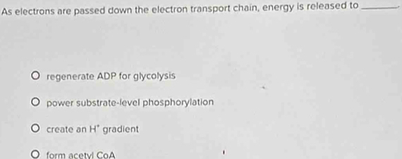 As electrons are passed down the electron transport chain, energy is released to_
regenerate ADP for glycolysis
power substrate-level phosphorylation
create an H° gradient
form acetvl CoA