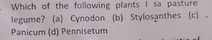 Which of the following plants I sa pasture
legume? (a) Cynodon (b) Stylosanthes (c) .
Panicum (d) Pennisetum